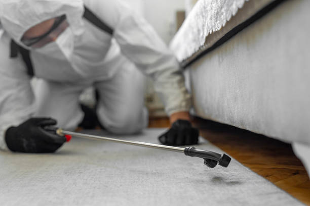 Professional Bed Bug Control technician working in Lafourche Crossing, LA