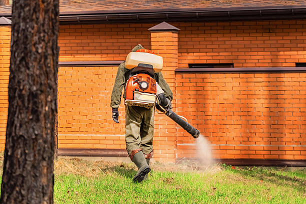 Trusted Ant Control service in Lafourche Crossing, LA - Nex Pest Control